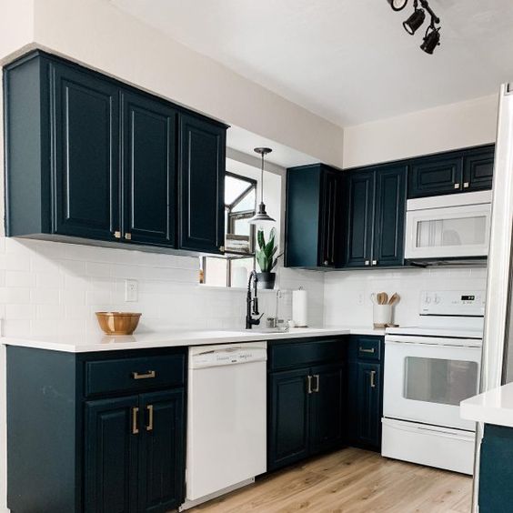 Sherwin Williams Dark Night (6237)