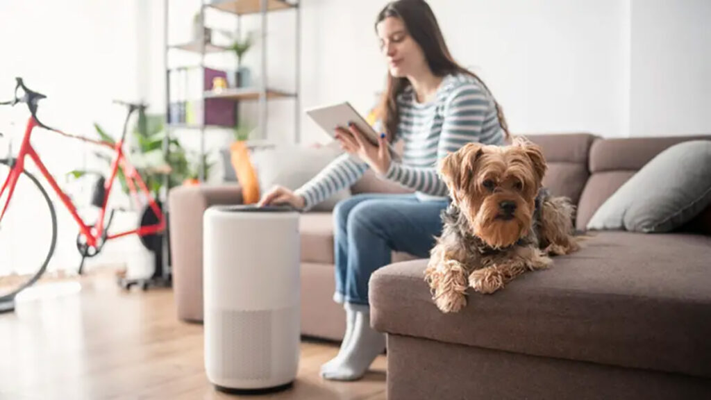 How Often To Run Your Air Purifier