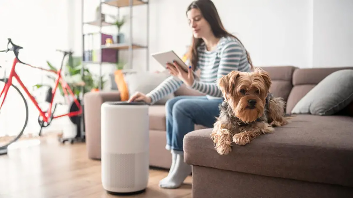 best air purifier for pets