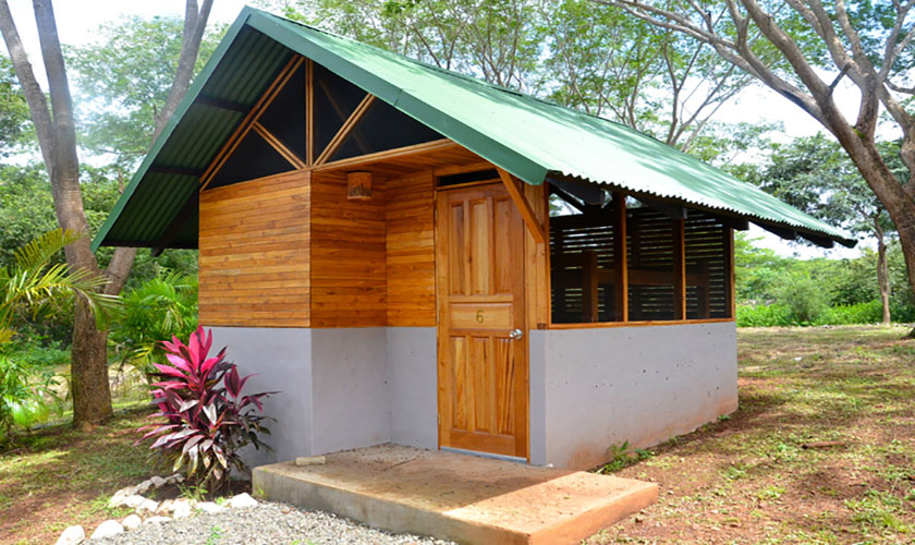 Backyard Shed