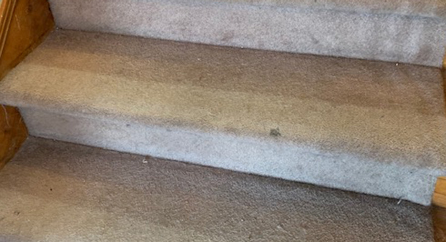 Carpet Stairs Lg