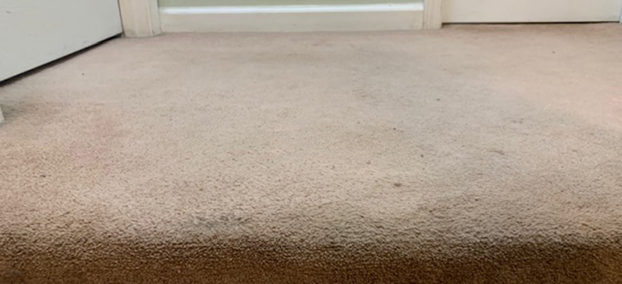 Carpet Worn Lg