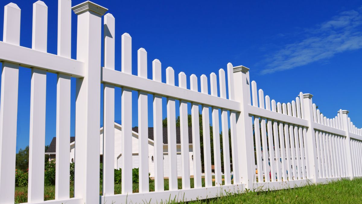 chain link vs vinyl fence