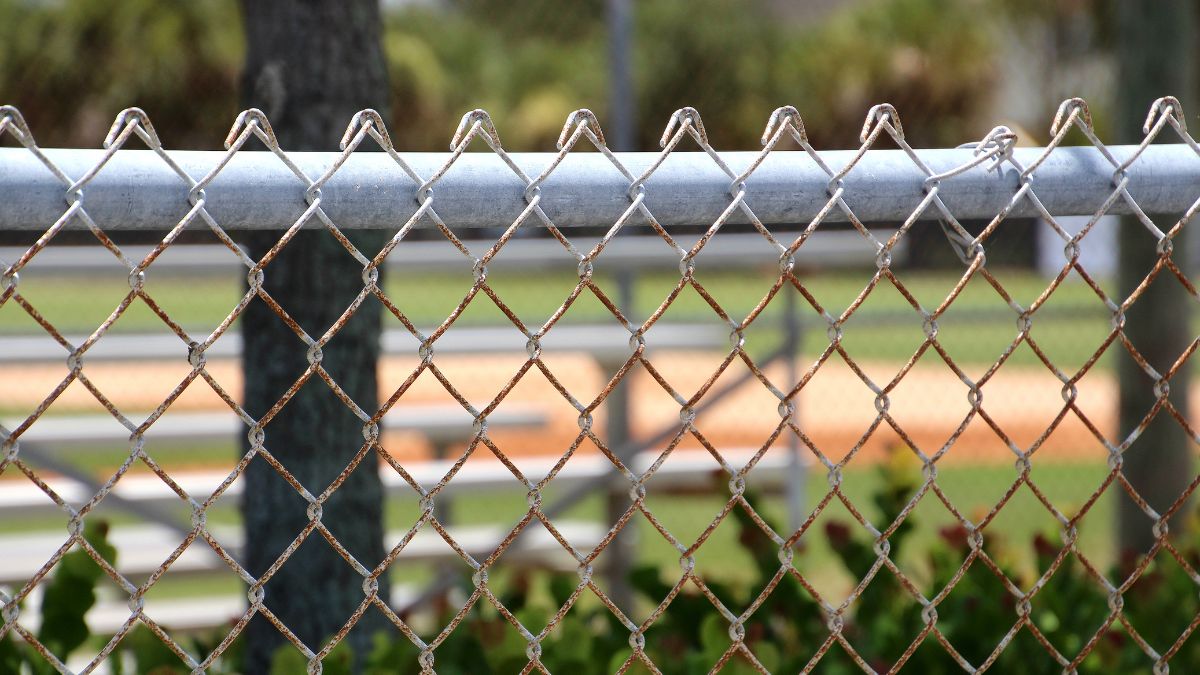 chain link vs wood fence