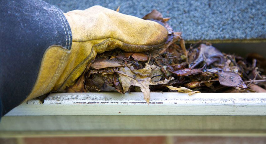 Clogged Gutters