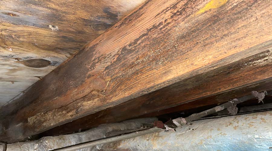 Fix Floor Joist Lg