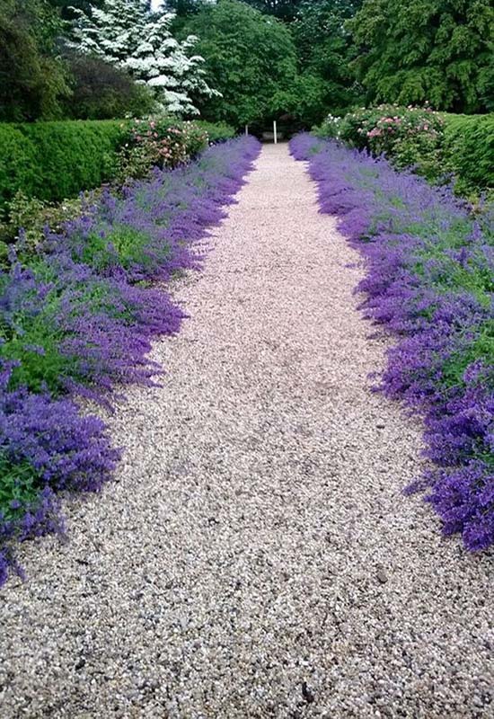 Gravel Driveway Edging 1