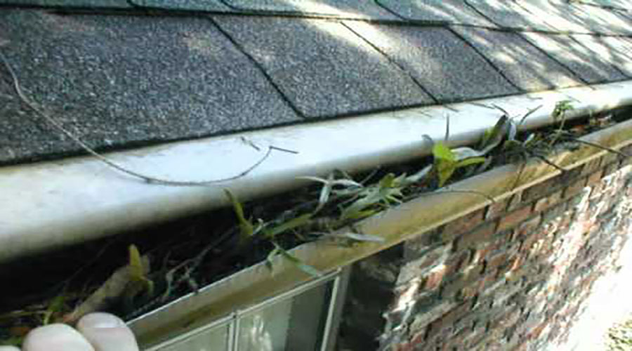 Gutter Guard Failure 3