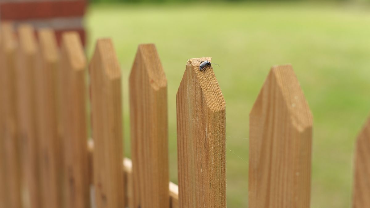 how long do wood fences last