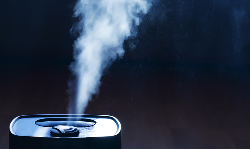 humidifier vs dehumidifier