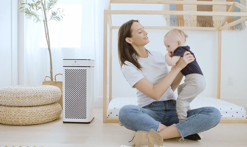 Air Purifier Vs Humidifier