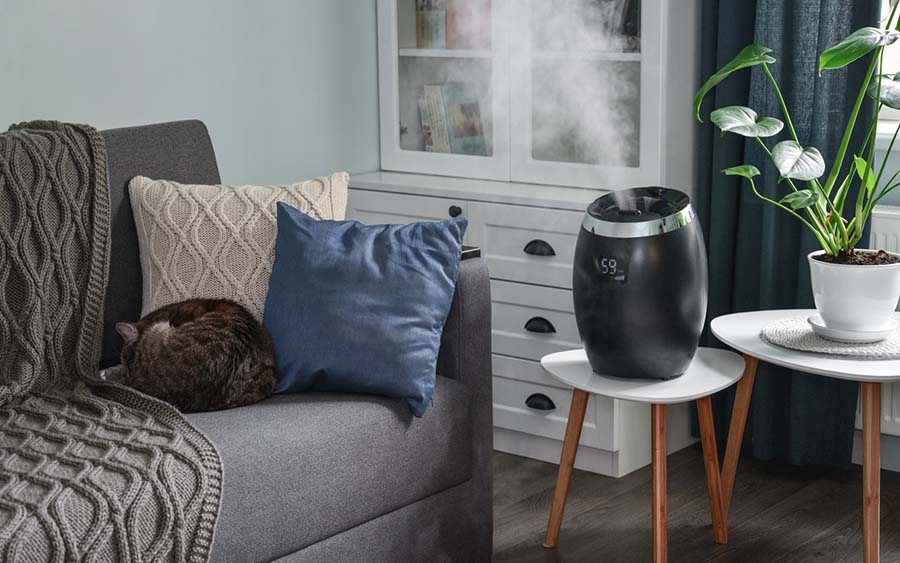 Medium Sized Humidifier Lg