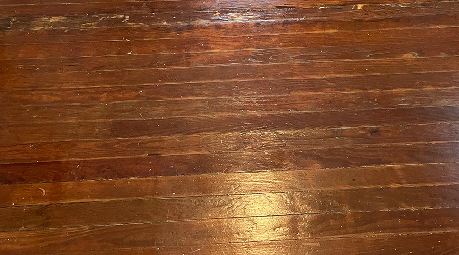 Moisture Damage Wood Floor 3 Lg