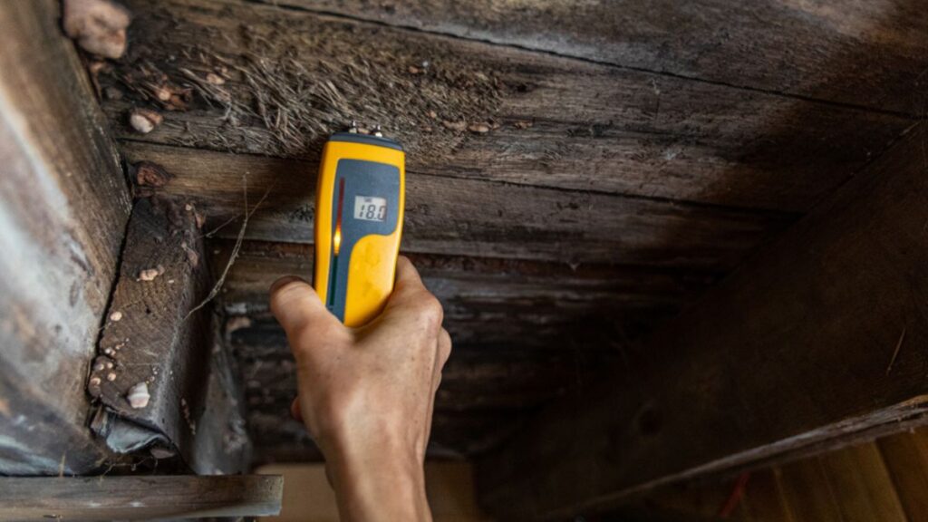 Mold Inspection - Check Moisture In Wood