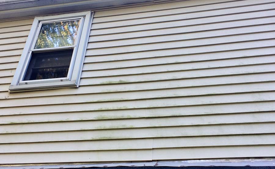 Moldy Old Vinyl Siding Lg