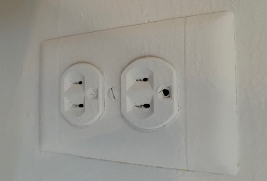 Painted Outlets Lg