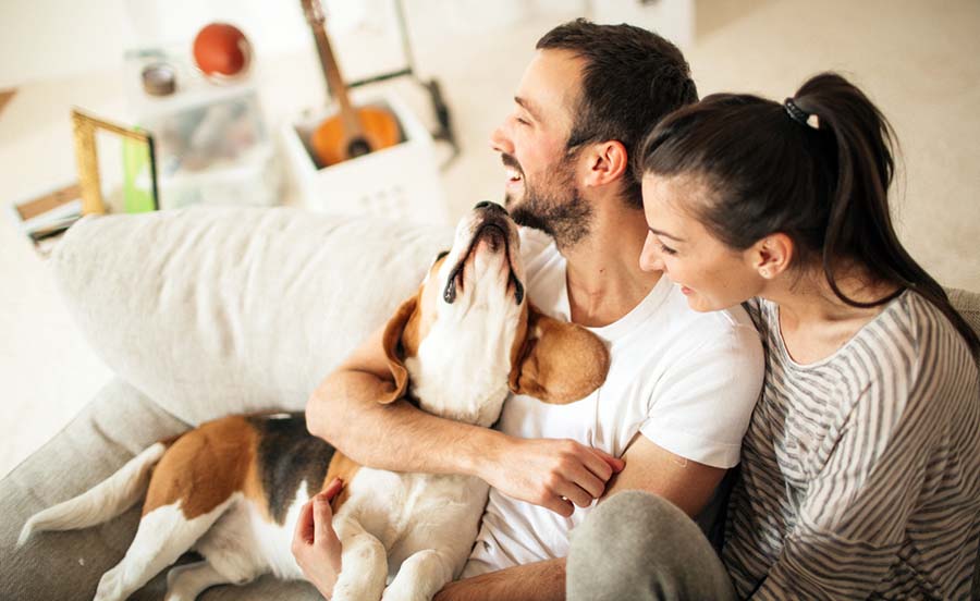 People And Dog On Couch Lg