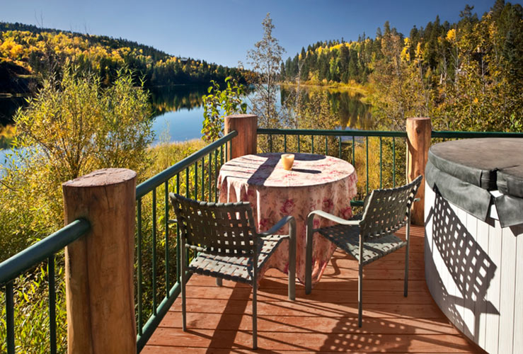 Rustic Log Metal Railing