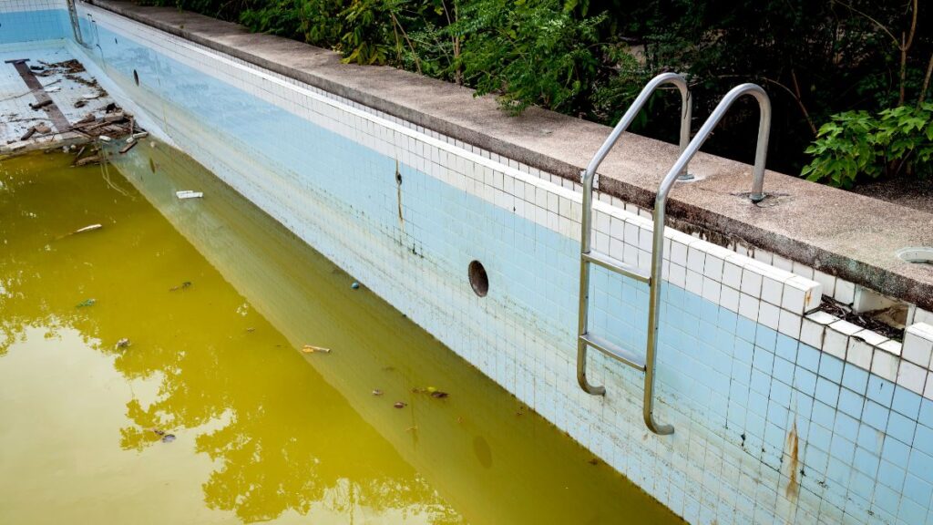 Swim In A Green Pool