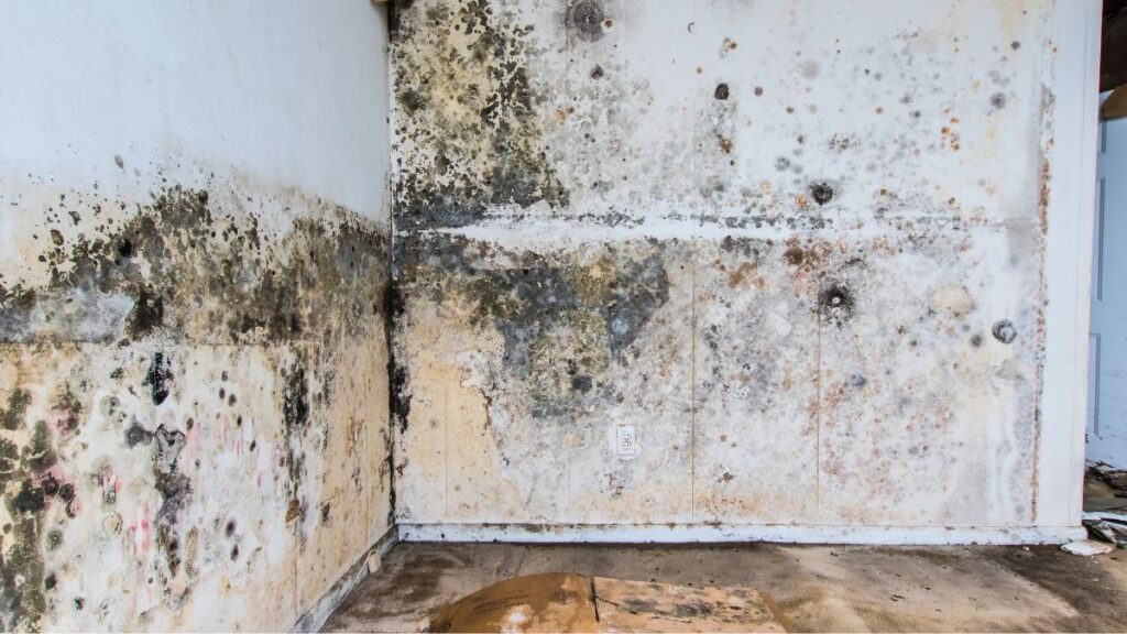 Signs Of Water Damage In Walls