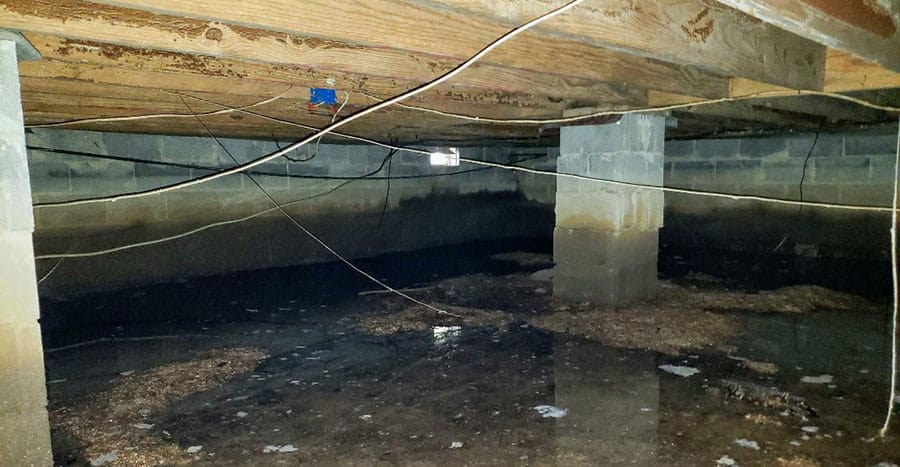 Wet Crawl Space Lg