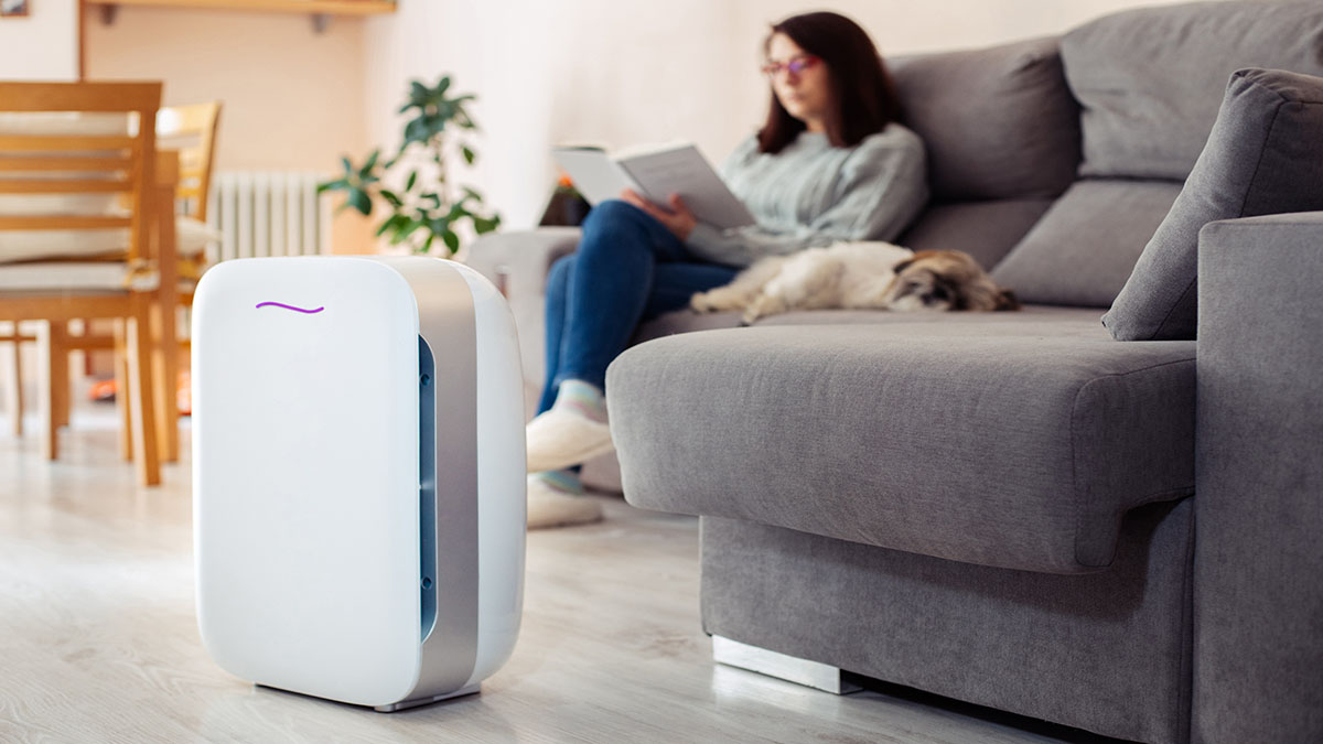 air purifier