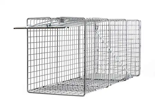 Animal Trap (32&Quot;X10&Quot;X12&Quot;) - Best Humane Animal Trap For Gophers, Opossums, Groundhogs, Beavers And Other Similar Sized Animals. Easy Trap Catch &Amp; Release Cage With 1-Door By Lifesup...