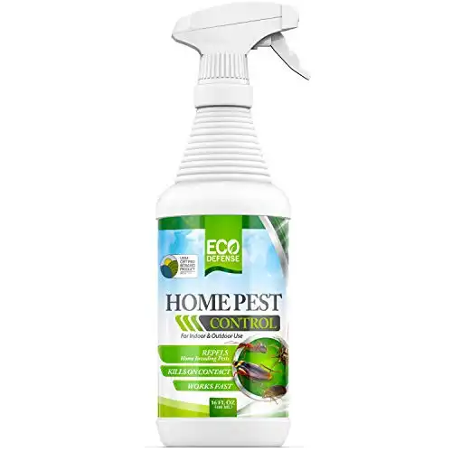 Eco Defense Usda Biobased Pest Control Spray - Ant, Roach, Spider, Bug Killer And Repellent - Natural Indoor &Amp; Outdoor Bug Spray - Child &Amp; Pet Friendly