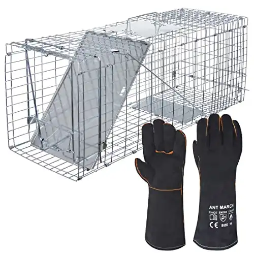 Ant March Live Animal Cage Trap 32''X11.5&Quot;X13&Quot; Steel Humane Release Rodent Cage Iron Door For Rabbits, Stray Cat, Squirrel, Raccoon, Mole, Gopher, Opossum, Skunk, Chipmunks, Ground...